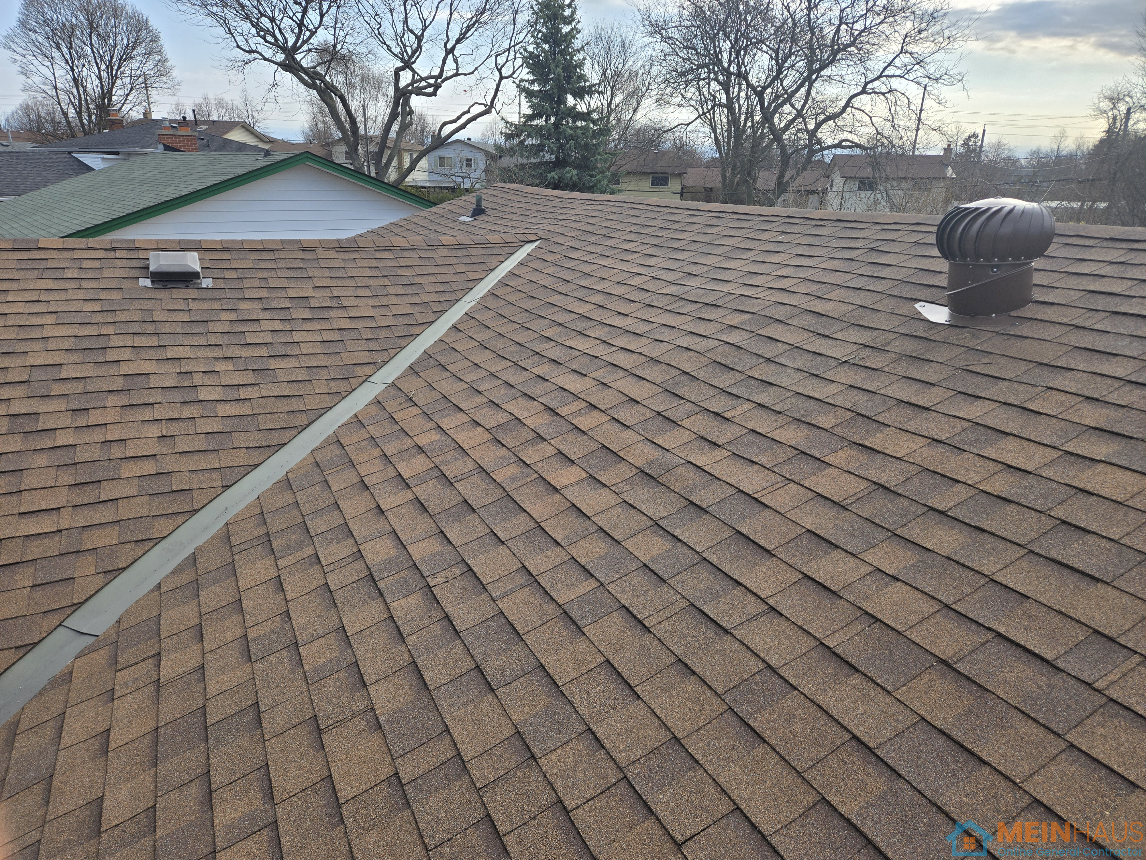 Attic mold — after