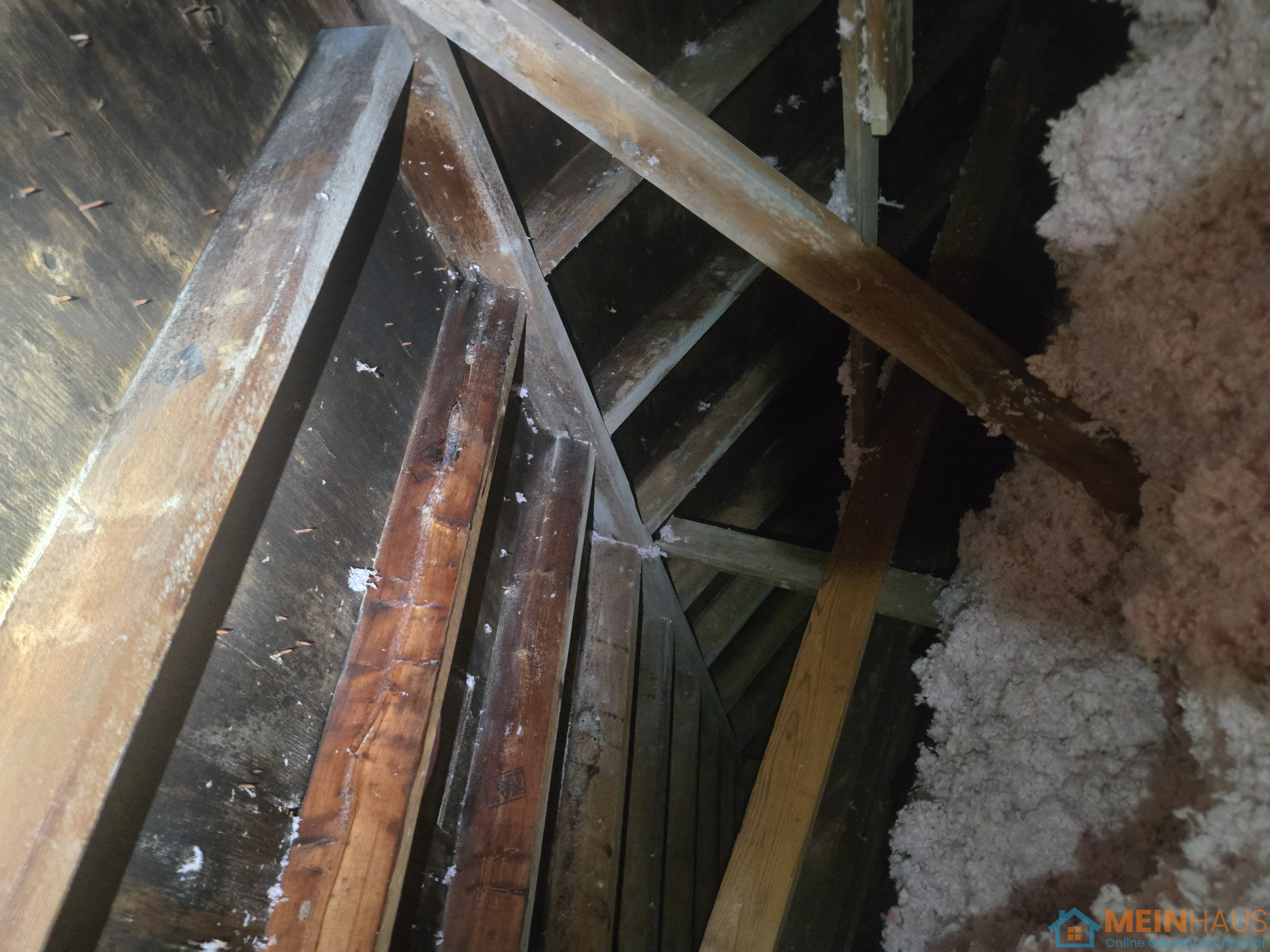 Attic mold — after
