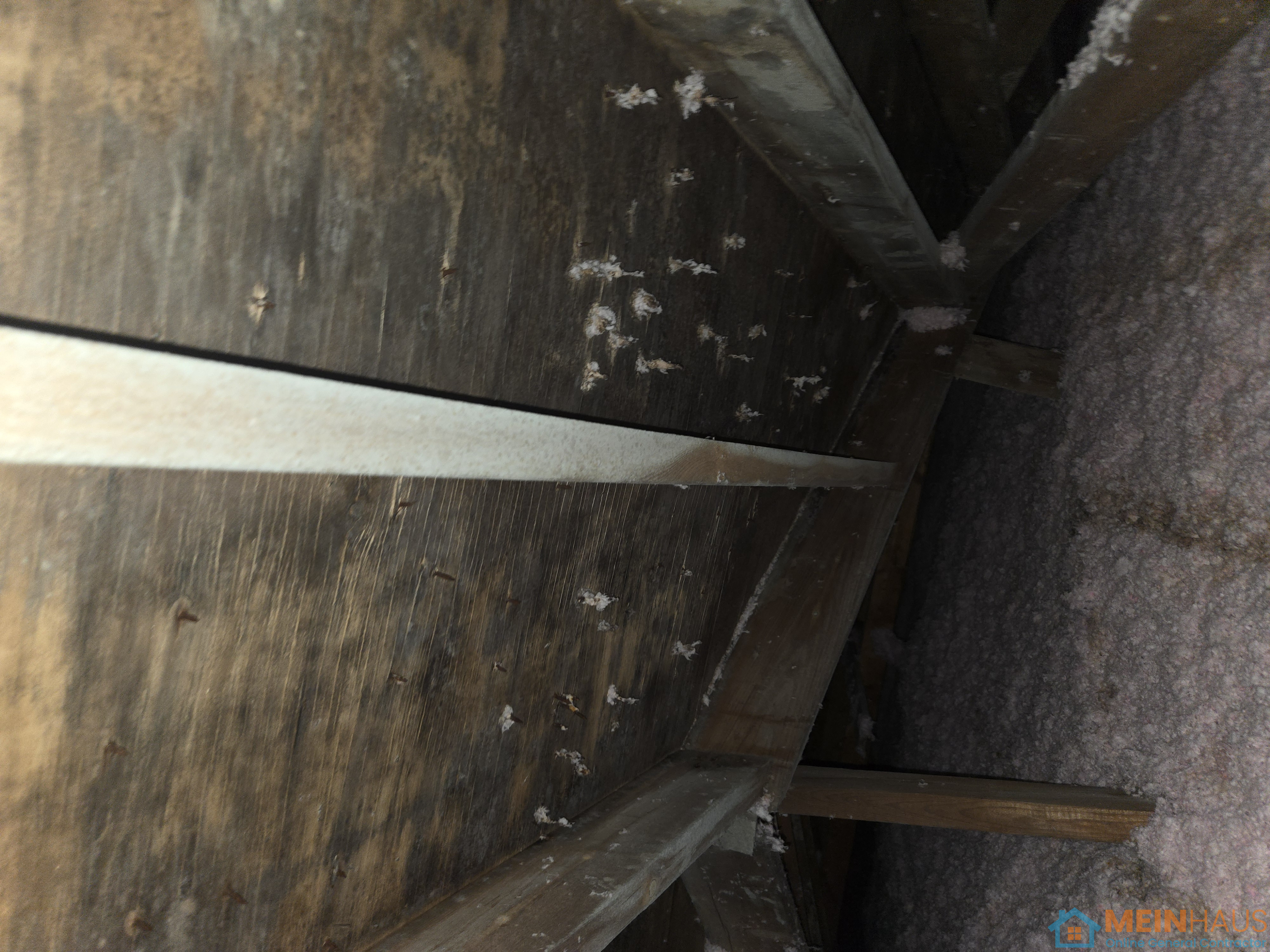 Attic mold - Brampton, Ontario project photo