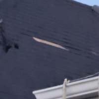 Roof Repair and Room Painting - Hamilton, Ontario project photo