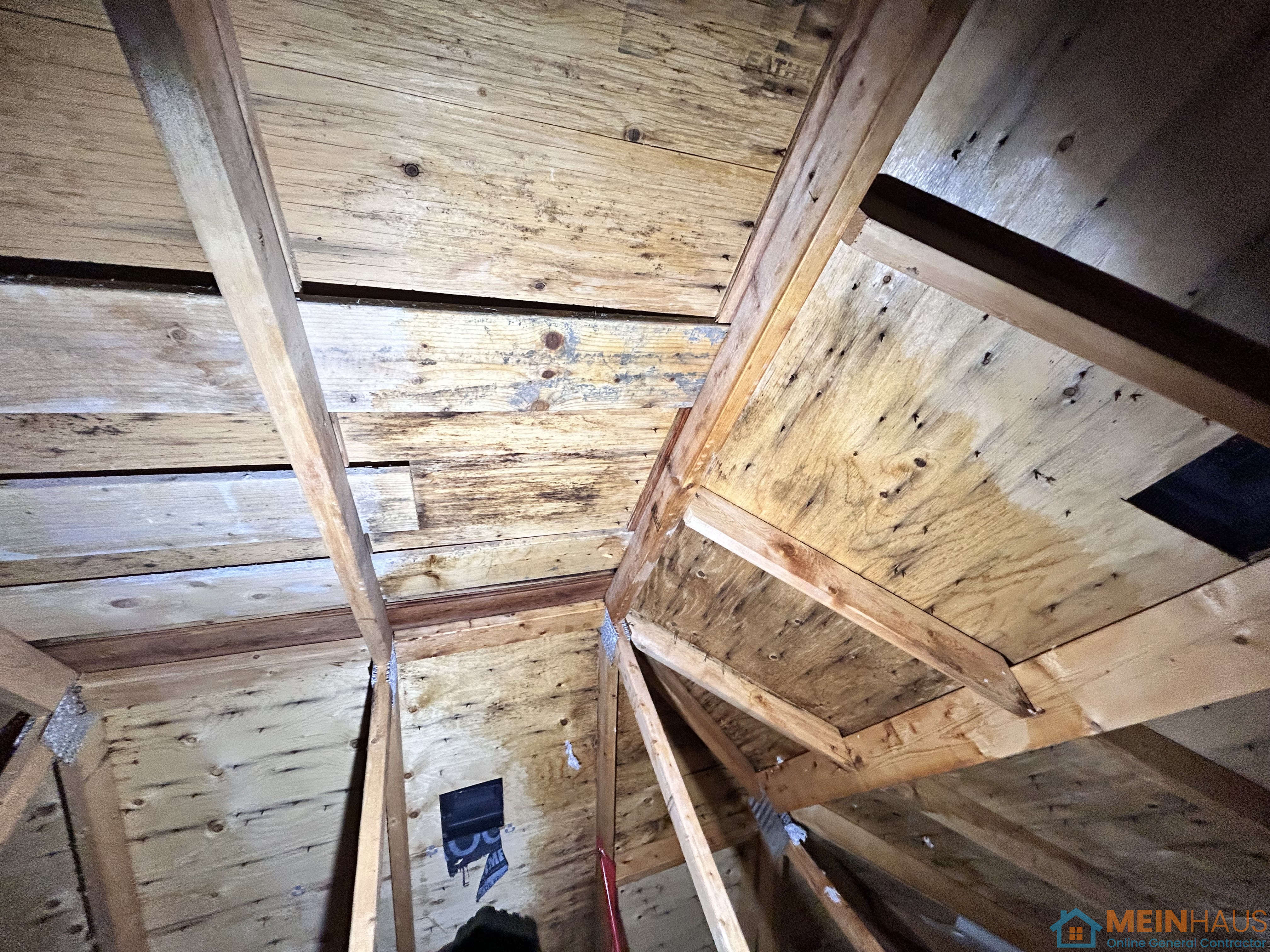 Mold Remediation