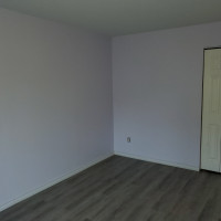 Painting - Brantford, Ontario project photo