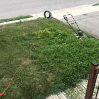 Landscaping — before