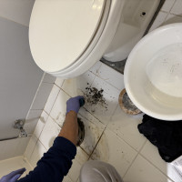 Plumbing — Vaughan, Ontario - Vaughan, Ontario project photo