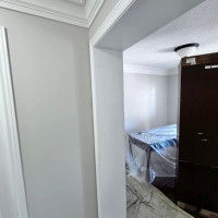 Painting - Toronto, Ontario project photo