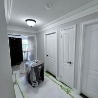 Painting - Toronto, Ontario project photo