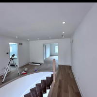 Painting - Toronto, Ontario project photo