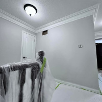 Painting - Toronto, Ontario project photo