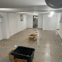 Flooring & Tile Services - Vaughan, Ontario project photo