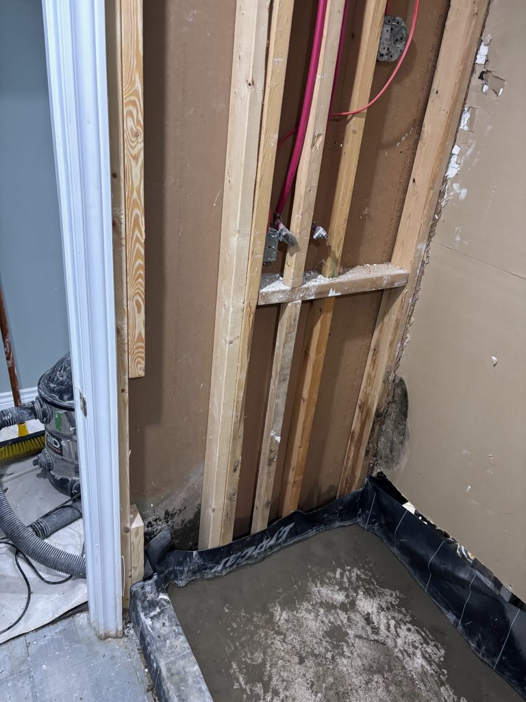 Mississauga Shower Renewal — after