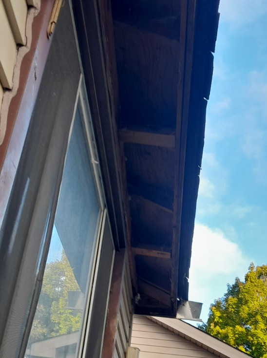 MeinHaus Online General Contractor photo 5