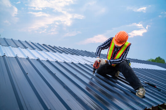 Roof Surveys