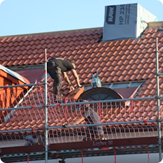 Roof Surveys